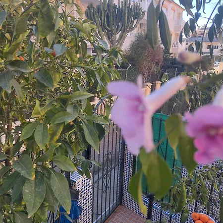 Apartman Punta Prima Getaway